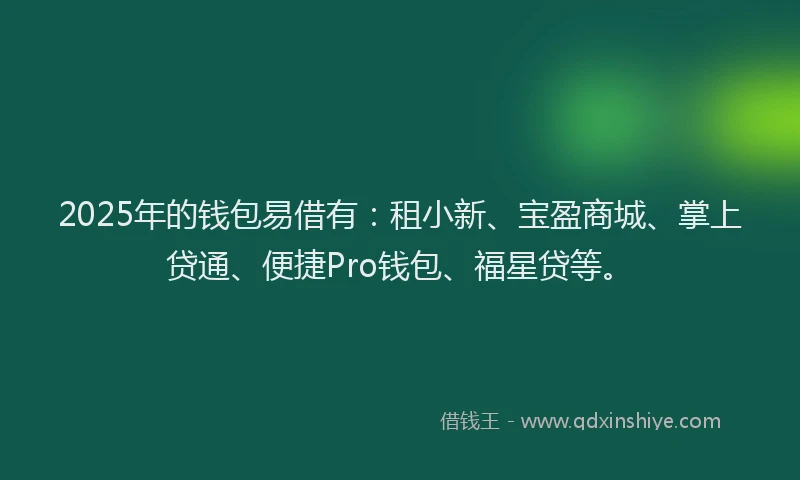 2025年的钱包易借有：租小新、宝盈商城、掌上贷通、便捷Pro钱包、福星贷等。