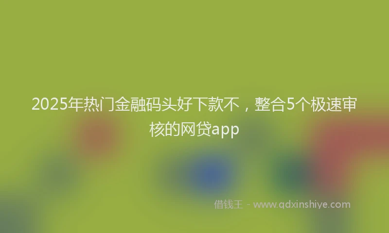 2025年热门金融码头好下款不，整合5个极速审核的网贷app