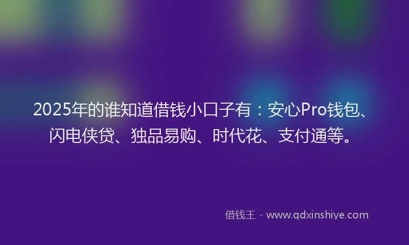 2025年的谁知道借钱小口子有：安心Pro钱包、闪电侠贷、独品易购、时代花、支付通等。