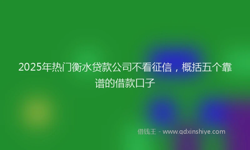 2025年热门衡水贷款公司不看征信，概括五个靠谱的借款口子