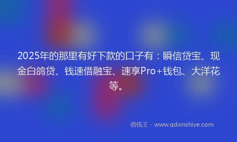 2025年的那里有好下款的口子有:瞬信贷宝、现金白鸽贷、钱速借融宝、速享Pro+钱包、大洋花等。