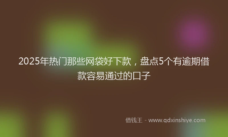 2025年热门那些网袋好下款，盘点5个有逾期借款容易通过的口子