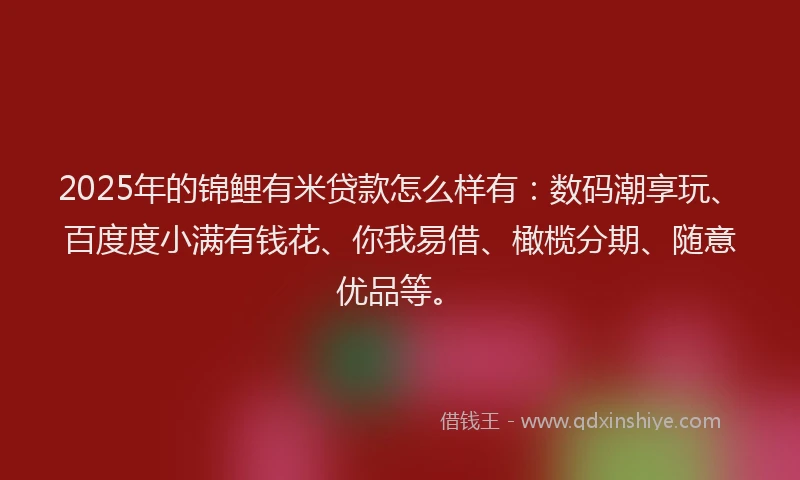 2025年的锦鲤有米贷款怎么样有：数码潮享玩、百度度小满有钱花、你我易借、橄榄分期、随意优品等。