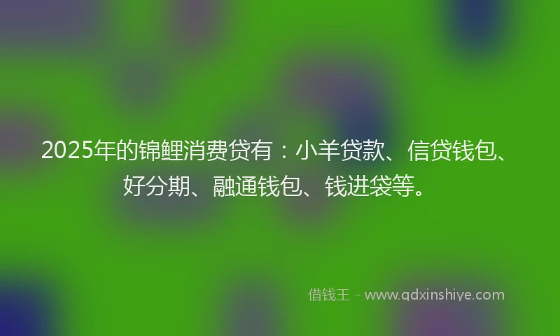 2025年的锦鲤消费贷有：小羊贷款、信贷钱包、好分期、融通钱包、钱进袋等。