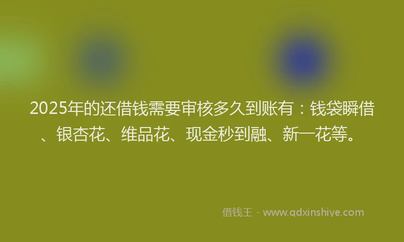 2025年的还借钱需要审核多久到账有：钱袋瞬借、银杏花、维品花、现金秒到融、新一花等。