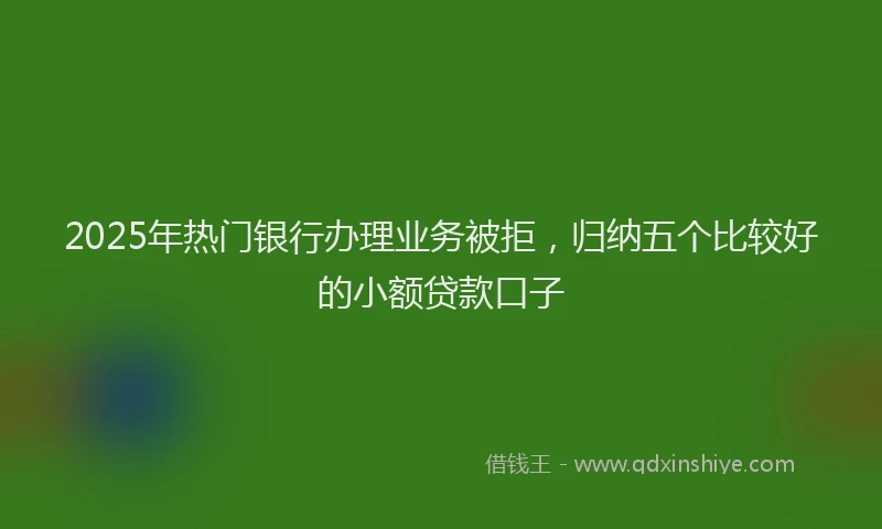 2025年热门银行办理业务被拒，归纳五个比较好的小额贷款口子