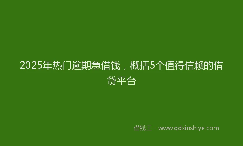 2025年热门逾期急借钱，概括5个值得信赖的借贷平台