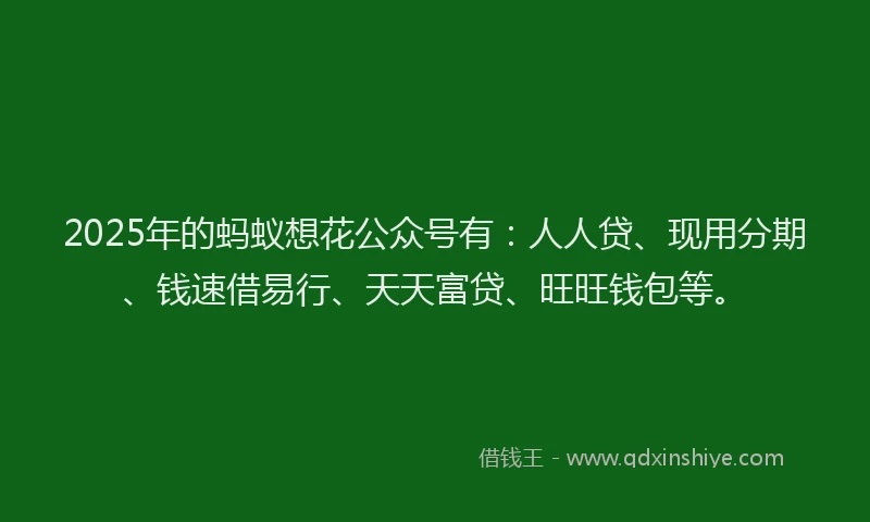 2025年的蚂蚁想花公众号有：人人贷、现用分期、钱速借易行、天天富贷、旺旺钱包等。
