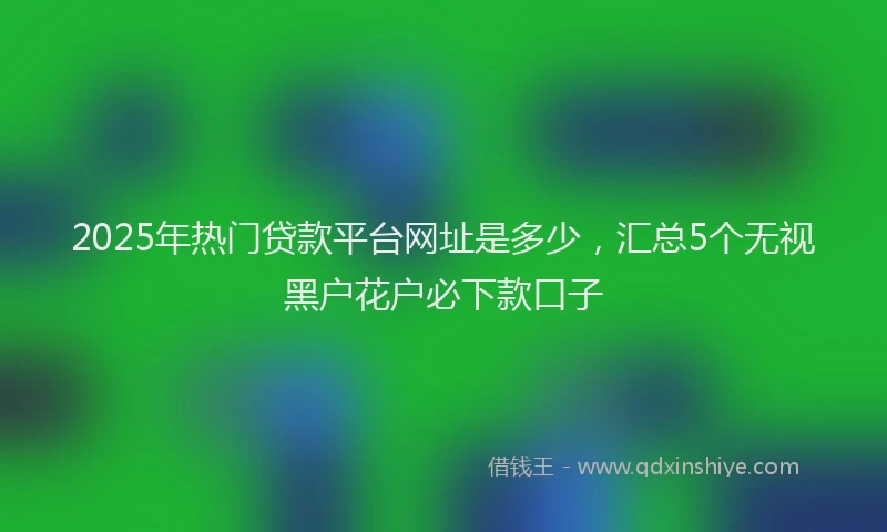 2025年热门贷款平台网址是多少,汇总5个无视黑户花户必下款口子