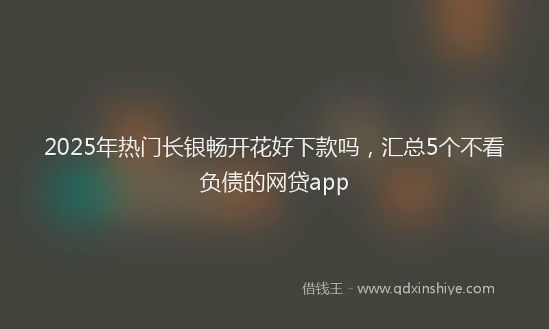 2025年热门长银畅开花好下款吗，汇总5个不看负债的网贷app