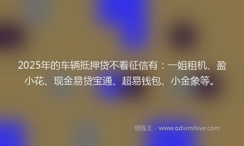 2025年的车辆抵押贷不看征信有：一姐租机、盈小花、现金易贷宝通、超易钱包、小金象等。