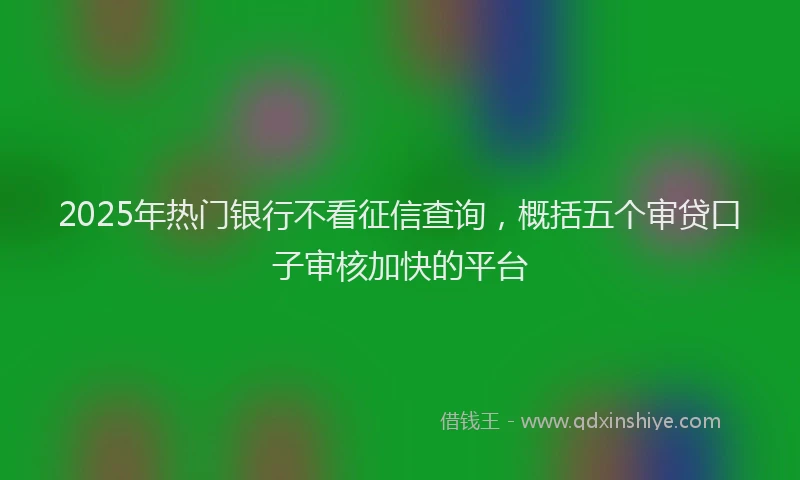 2025年热门银行不看征信查询，概括五个审贷口子审核加快的平台