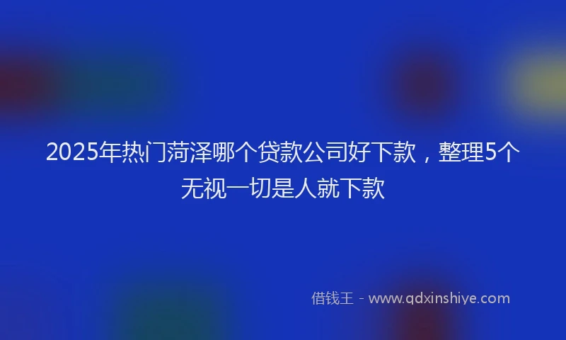 2025年热门菏泽哪个贷款公司好下款，整理5个无视一切是人就下款