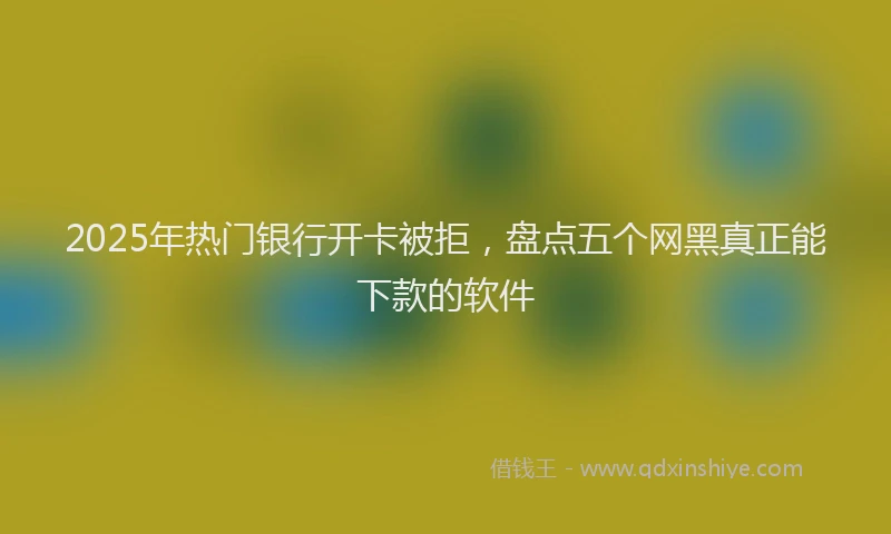 2025年热门银行开卡被拒，盘点五个网黑真正能下款的软件