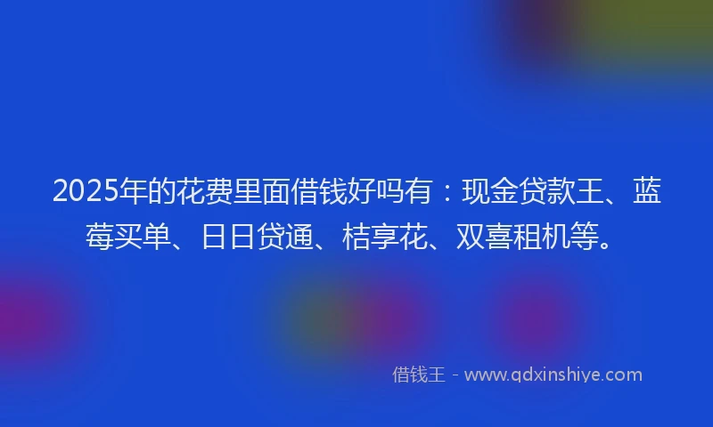 2025年的花费里面借钱好吗有：现金贷款王、蓝莓买单、日日贷通、桔享花、双喜租机等。