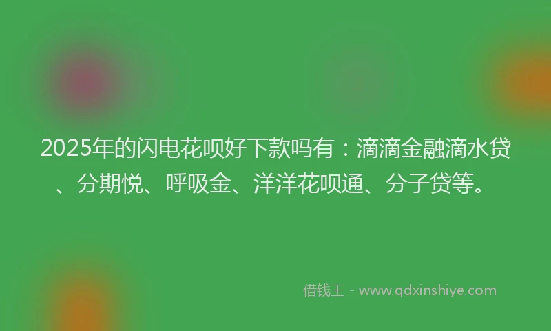 2025年的闪电花呗好下款吗有：滴滴金融滴水贷、分期悦、呼吸金、洋洋花呗通、分子贷等。