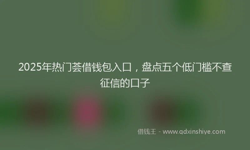 2025年热门荟借钱包入口，盘点五个低门槛不查征信的口子