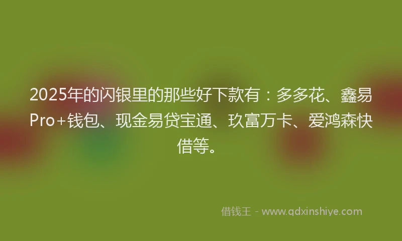2025年的闪银里的那些好下款有:多多花、鑫易Pro+钱包、现金易贷宝通、玖富万卡、爱鸿森快借等。