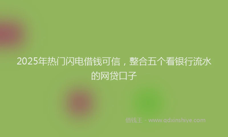 2025年热门闪电借钱可信,整合五个看银行流水的网贷口子