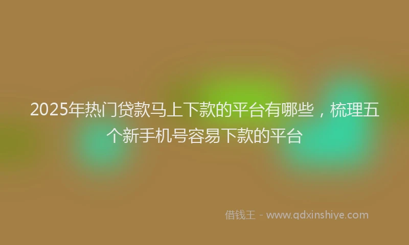 2025年热门贷款马上下款的平台有哪些,梳理五个新手机号容易下款的平台