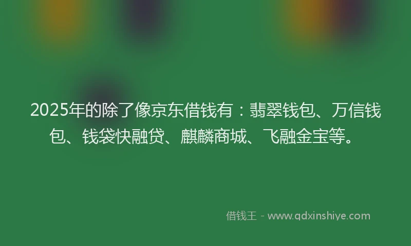 2025年的除了像京东借钱有：翡翠钱包、万信钱包、钱袋快融贷、麒麟商城、飞融金宝等。