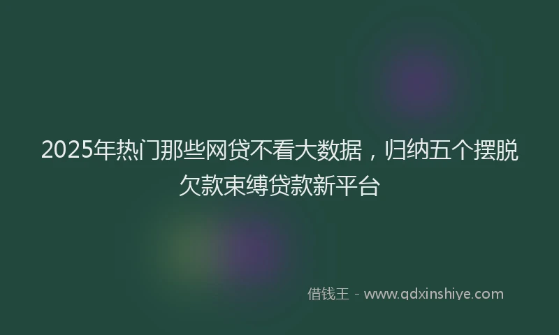 2025年热门那些网贷不看大数据，归纳五个摆脱欠款束缚贷款新平台