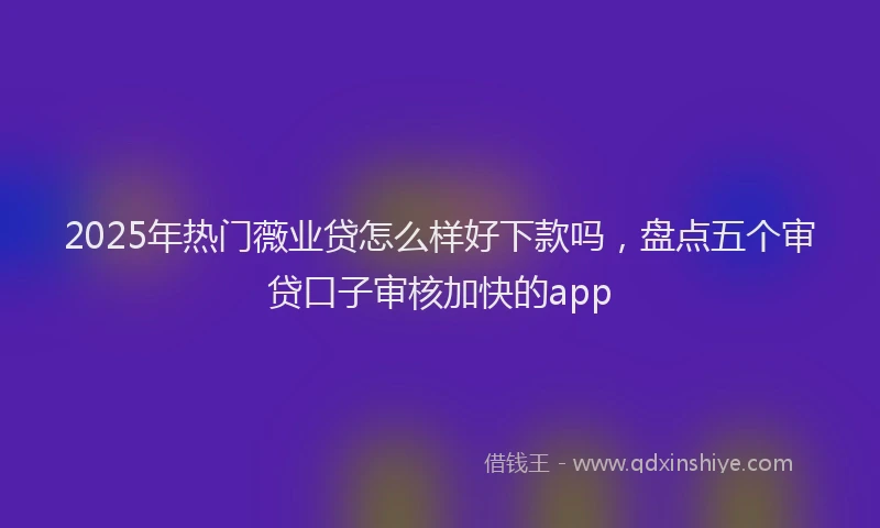 2025年热门薇业贷怎么样好下款吗，盘点五个审贷口子审核加快的app