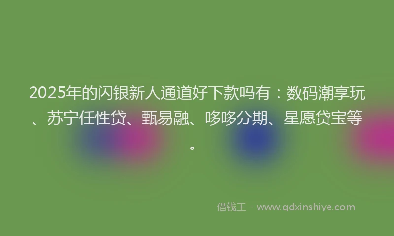 2025年的闪银新人通道好下款吗有：数码潮享玩、苏宁任性贷、甄易融、哆哆分期、星愿贷宝等。