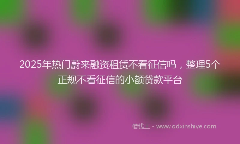 2025年热门蔚来融资租赁不看征信吗，整理5个正规不看征信的小额贷款平台