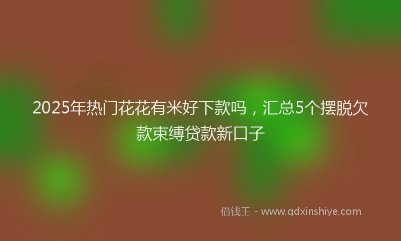 2025年热门花花有米好下款吗，汇总5个摆脱欠款束缚贷款新口子