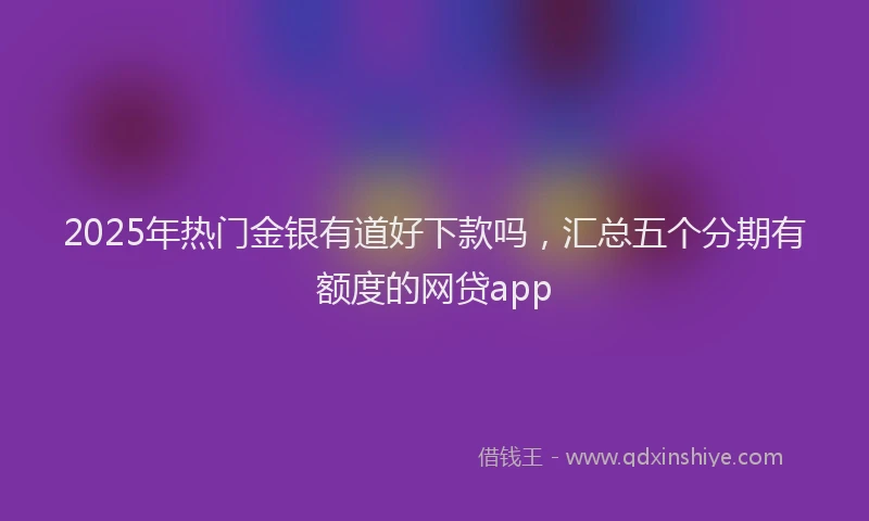 2025年热门金银有道好下款吗,汇总五个分期有额度的网贷app