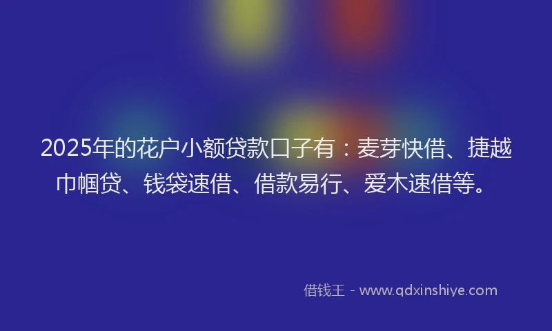 2025年的花户小额贷款口子有：麦芽快借、捷越巾帼贷、钱袋速借、借款易行、爱木速借等。