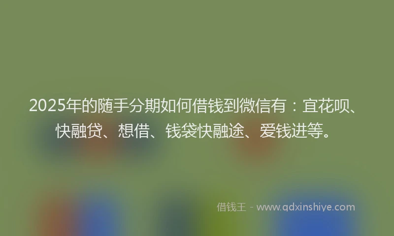 2025年的随手分期如何借钱到微信有:宜花呗、快融贷、想借、钱袋快融途、爱钱进等。