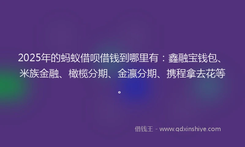 2025年的蚂蚁借呗借钱到哪里有：鑫融宝钱包、米族金融、橄榄分期、金瀛分期、携程拿去花等。