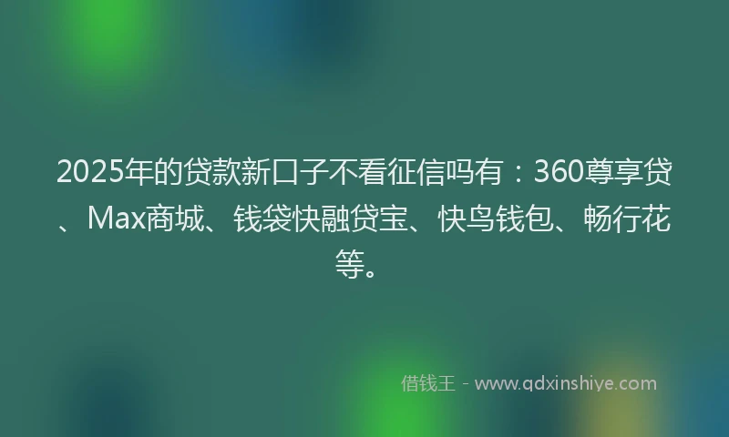 2025年的贷款新口子不看征信吗有:360尊享贷、Max商城、钱袋快融贷宝、快鸟钱包、畅行花等。