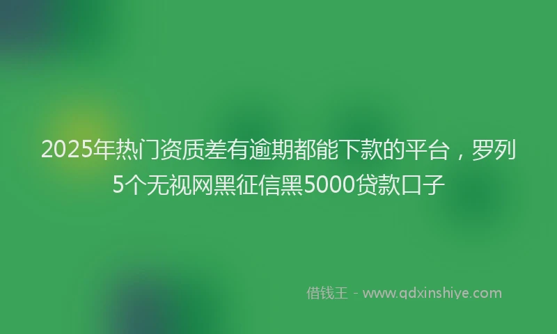 2025年热门资质差有逾期都能下款的平台，罗列5个无视网黑征信黑5000贷款口子