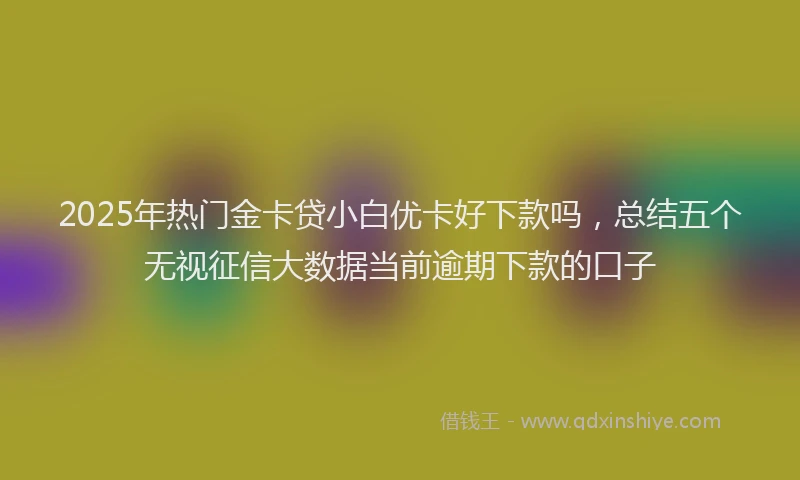 2025年热门金卡贷小白优卡好下款吗，总结五个无视征信大数据当前逾期下款的口子