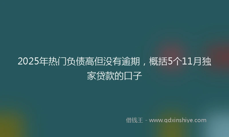 2025年热门负债高但没有逾期，概括5个11月独家贷款的口子