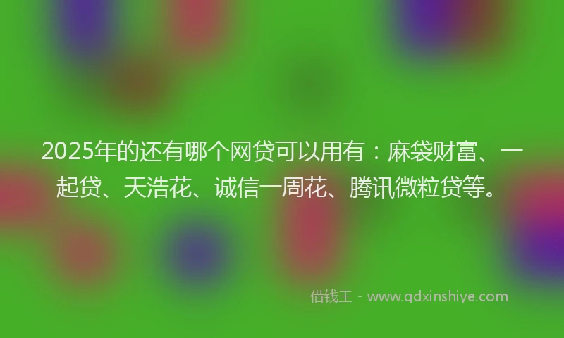 2025年的还有哪个网贷可以用有：麻袋财富、一起贷、天浩花、诚信一周花、腾讯微粒贷等。