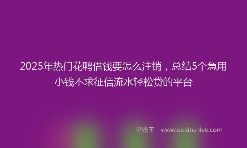 2025年热门花鸭借钱要怎么注销，总结5个急用小钱不求征信流水轻松贷的平台