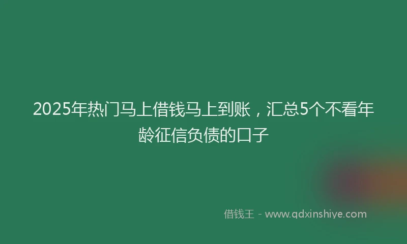 2025年热门马上借钱马上到账，汇总5个不看年龄征信负债的口子