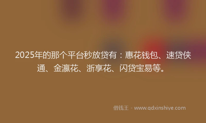 2025年的那个平台秒放贷有:惠花钱包、速贷侠通、金瀛花、浙享花、闪贷宝易等。