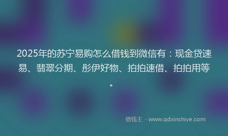 2025年的苏宁易购怎么借钱到微信有：现金贷速易、翡翠分期、彤伊好物、拍拍速借、拍拍用等。