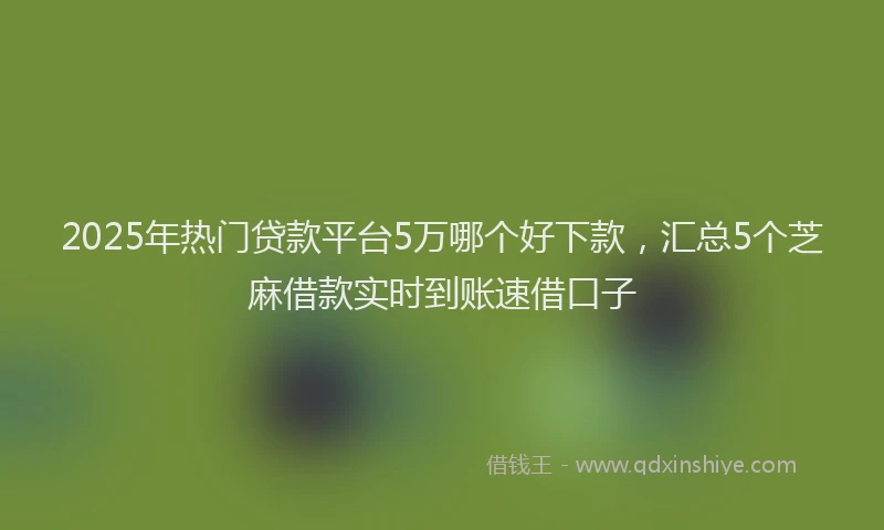 2025年热门贷款平台5万哪个好下款,汇总5个芝麻借款实时到账速借口子