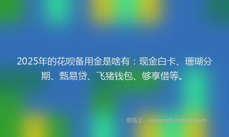 2025年的花呗备用金是啥有：现金白卡、珊瑚分期、甄易贷、飞猪钱包、够享借等。