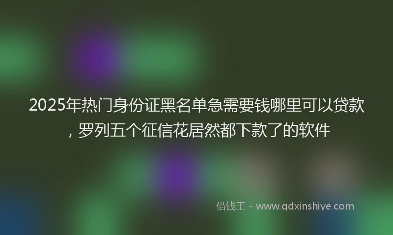 2025年热门身份证黑名单急需要钱哪里可以贷款，罗列五个征信花居然都下款了的软件
