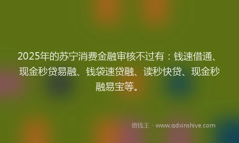 2025年的苏宁消费金融审核不过有：钱速借通、现金秒贷易融、钱袋速贷融、读秒快贷、现金秒融易宝等。