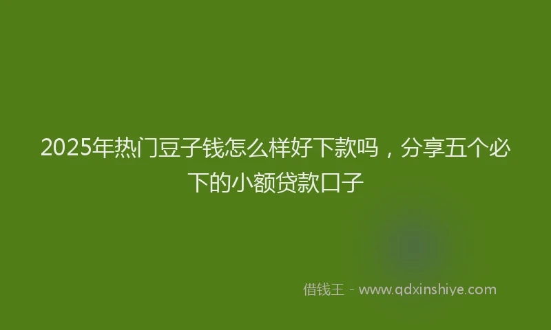 2025年热门豆子钱怎么样好下款吗，分享五个必下的小额贷款口子