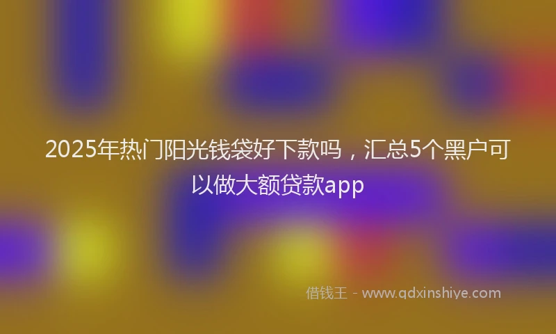 2025年热门阳光钱袋好下款吗，汇总5个黑户可以做大额贷款app