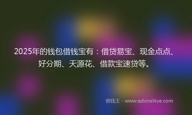 2025年的钱包借钱宝有：借贷易宝、现金点点、好分期、天源花、借款宝速贷等。